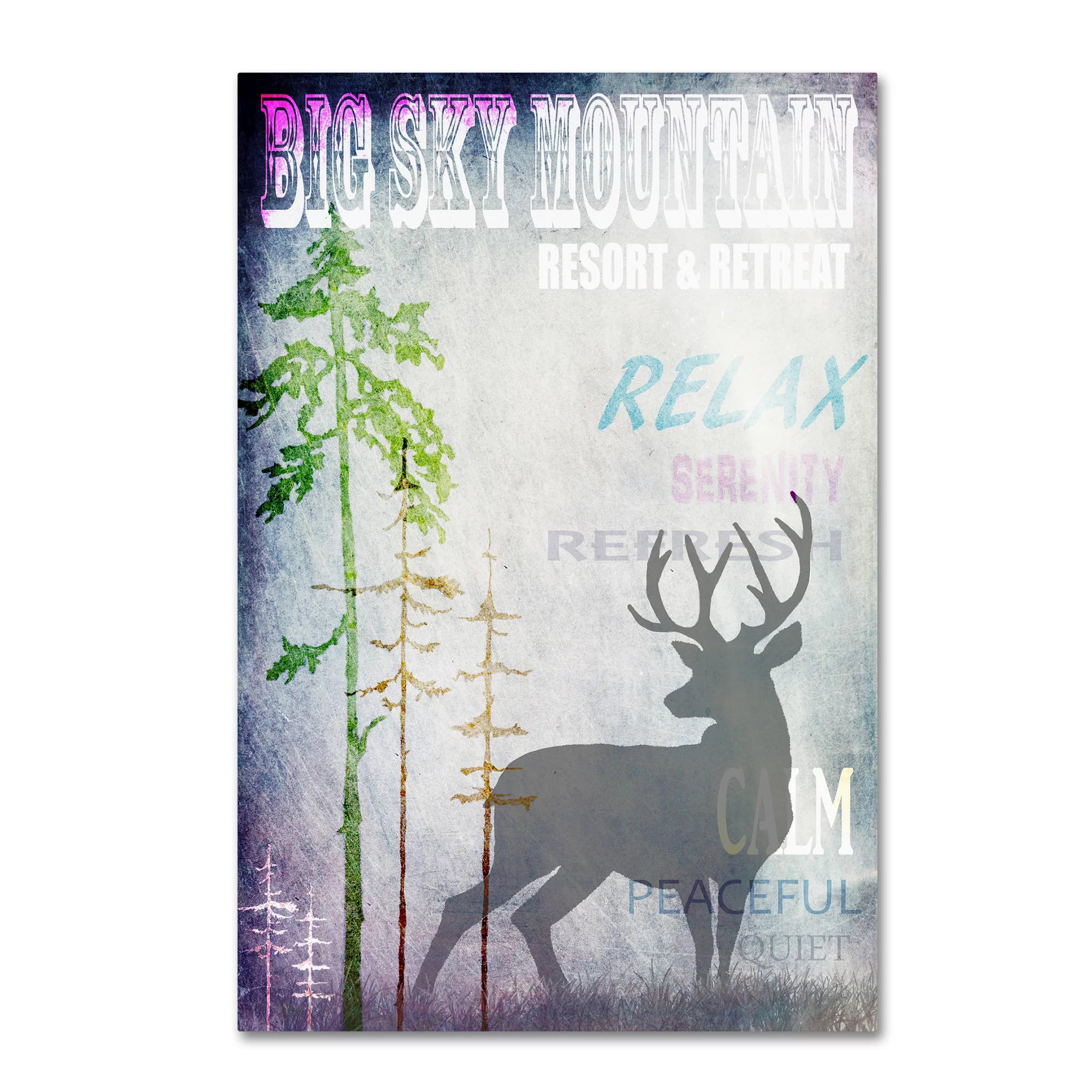 Big Sky Mountain Canvas Art T62658