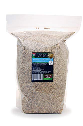 3lbs Tall Fescue Grass Seed Q505