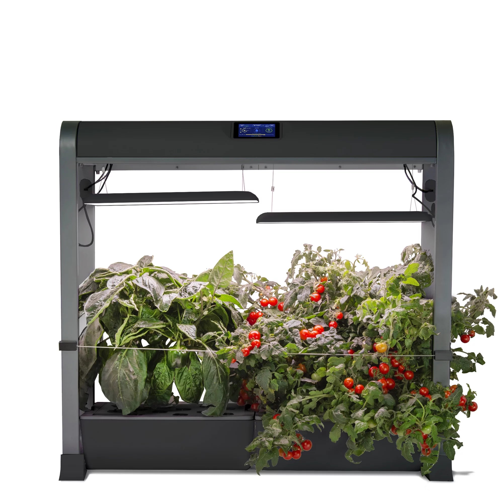 Black Farm 24Plus with Salad Bar Seed Pod Kit N67991