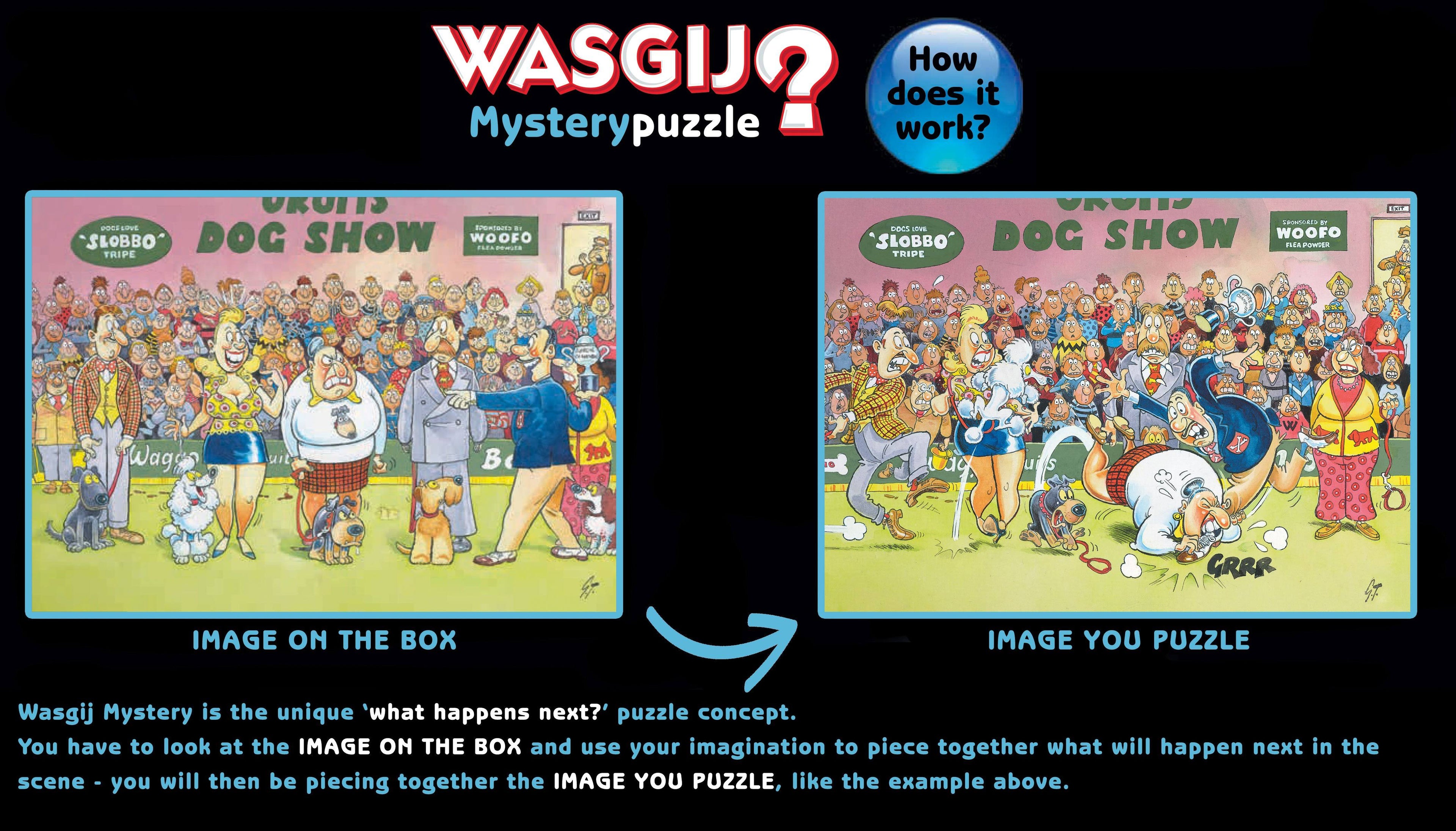 Mystery 15 Jigsaw Puzzle D357