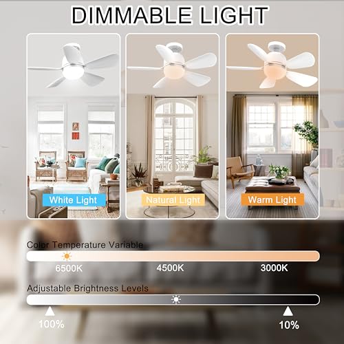 2Pack White Socket Ceiling Fan Light with Remote, Dimmable Q94034