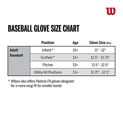 A2000 Baseball Glove P5968