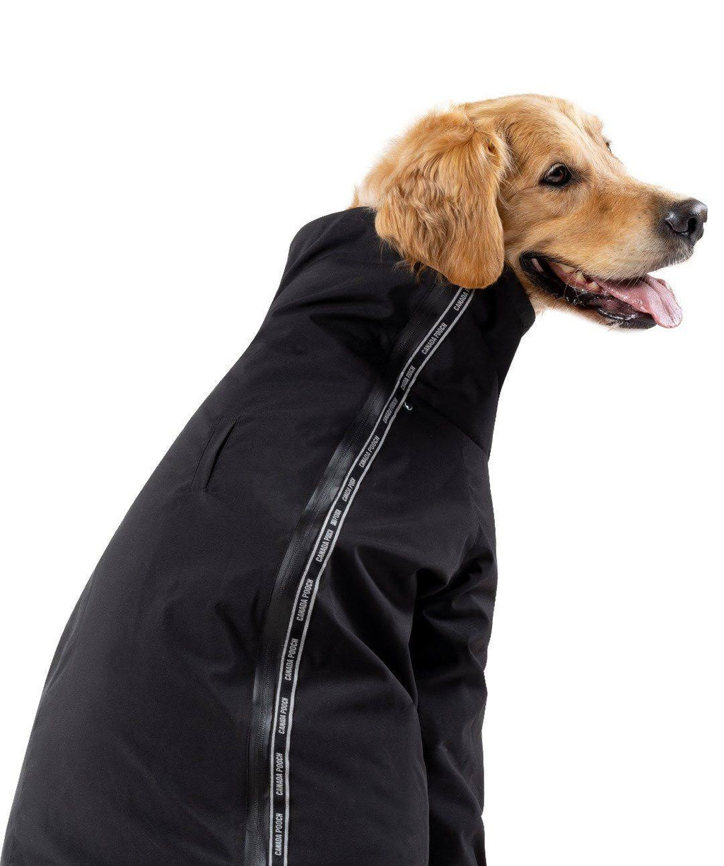 Black Dog Suit X498
