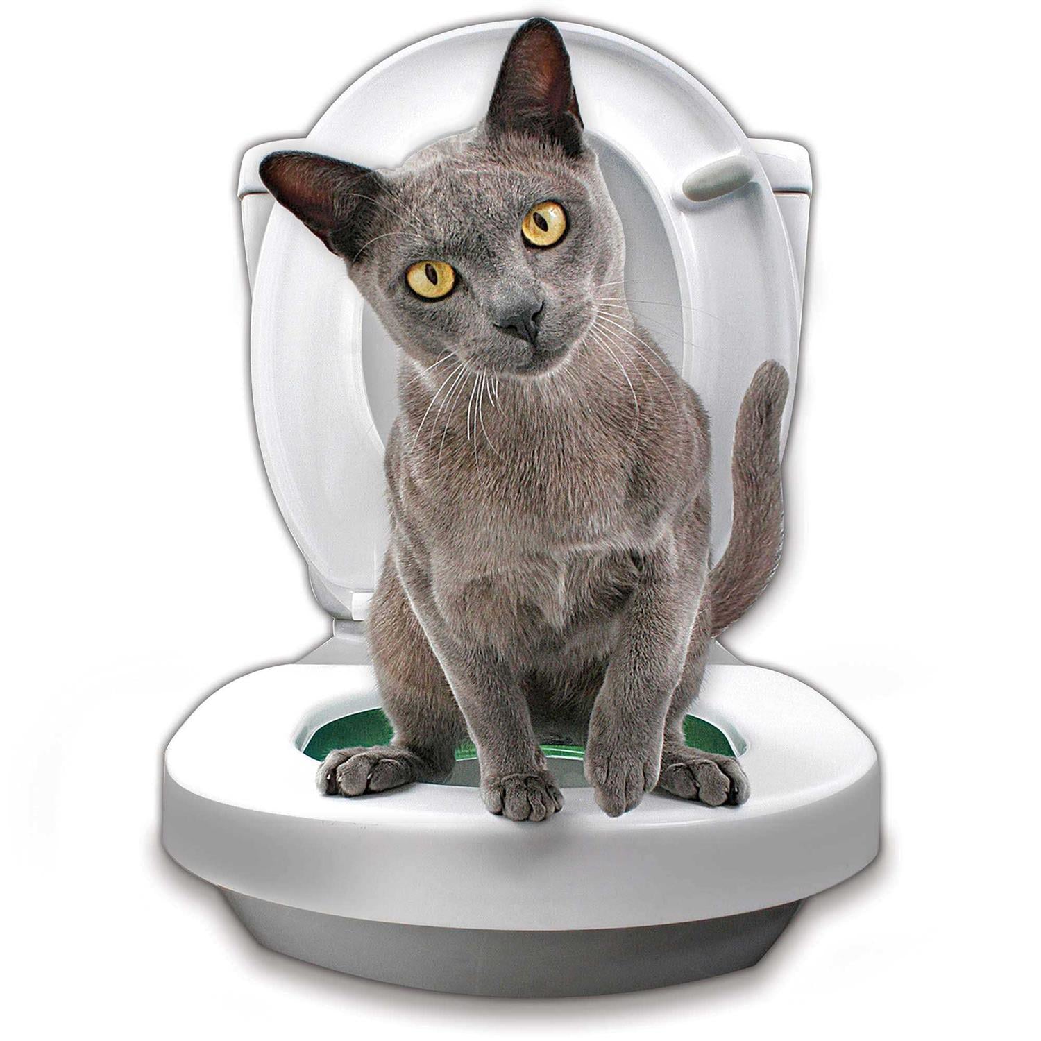 Cat Toilet Training System U88352