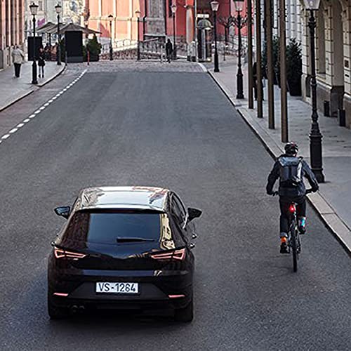 Cycling Rearview Radar and Tail Light with GPS C180