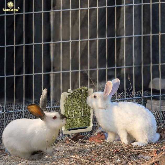 Rabbit Bunny & Guinea Pig Hay Feeder Rack Food Dispenser K5514