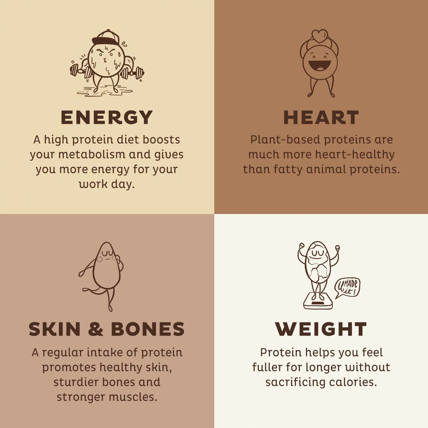Chocolate Organic Pea Protein Powder, 30 Servings V890