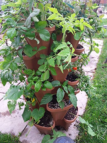 Vertical Gardening Stackable Planters R7792