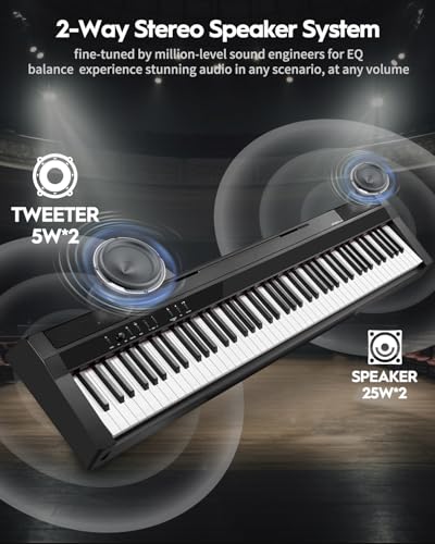 Black 88 Key Weighted Digital Piano C37163