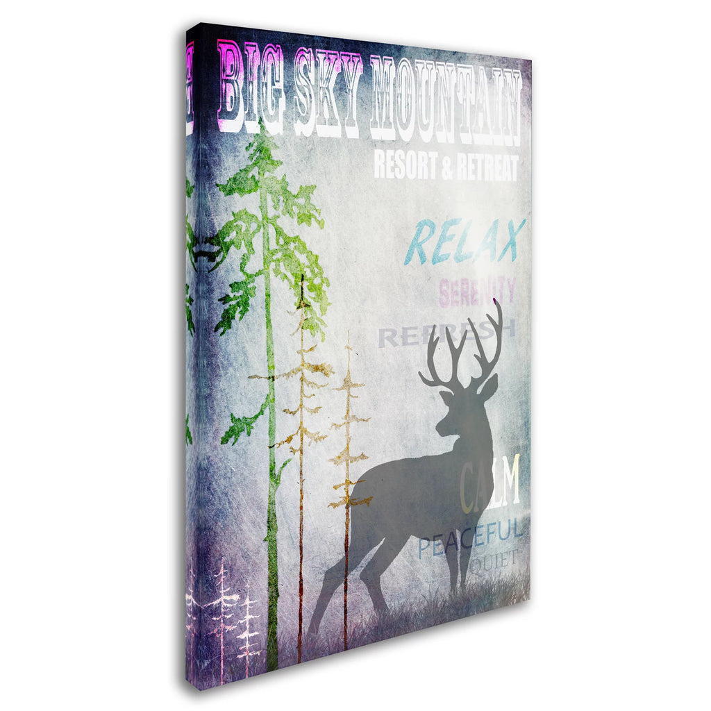 Big Sky Mountain Canvas Art T62658