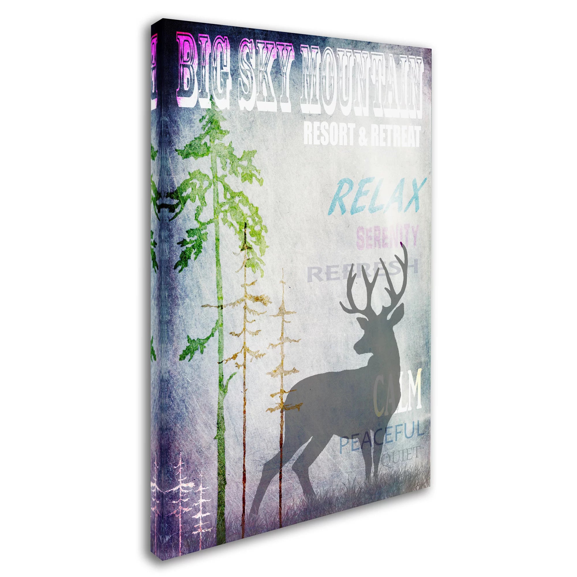 Big Sky Mountain Canvas Art T62658