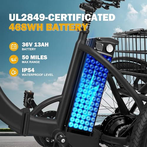 Peak 750W Brushless Motor Folding Trike Ebike with 468Wh Removable Battery Q868669