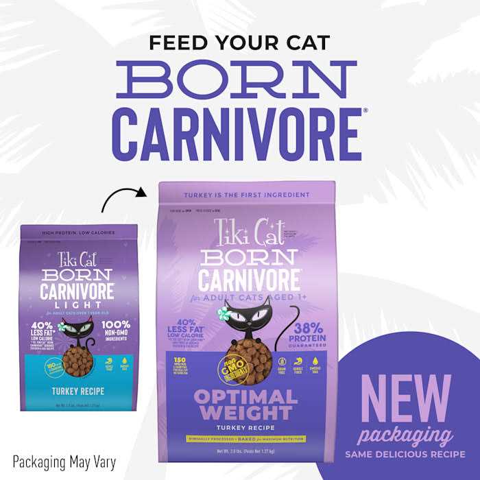 Turkey Light Dry Cat Food P236