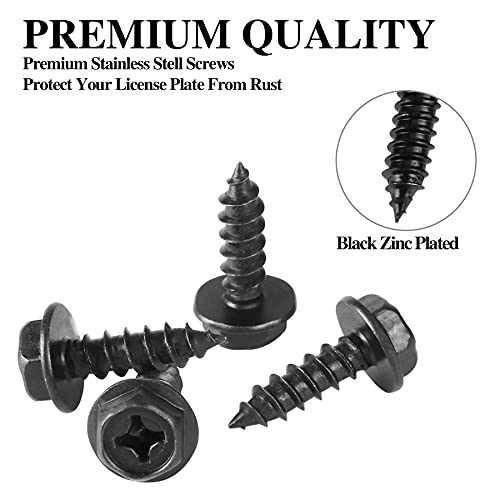 Silver M6 Tamper Proof License Plate Screws Kits G3194