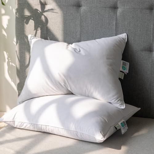 Goose Feather Down Pillows Queen Size Set of 2 with 600TC 100% Cotton Cover L3061