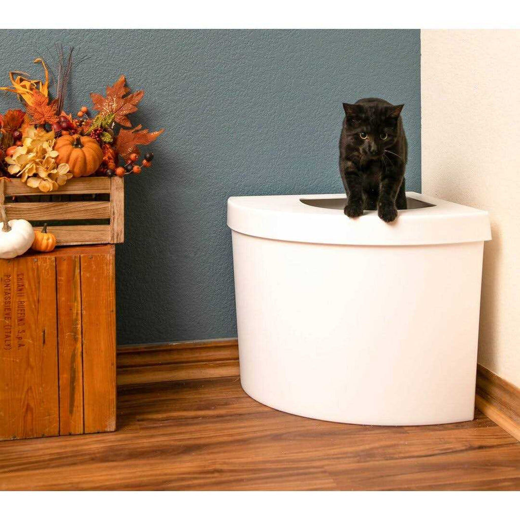 Standard Litter Box Kitangle M554921