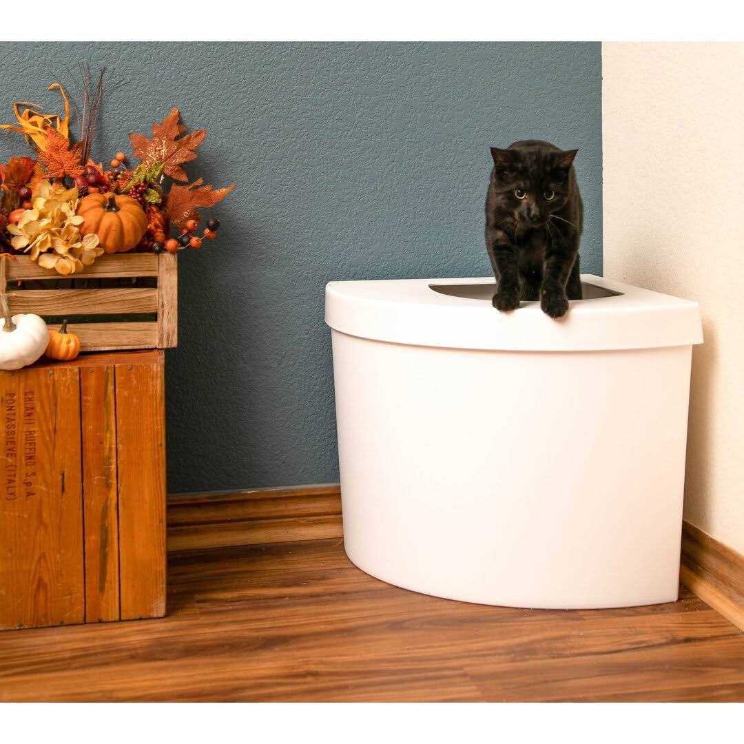 Standard Litter Box Kitangle M554921