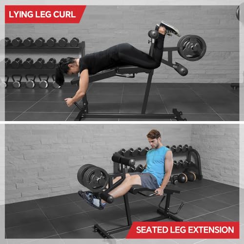 Leg Extension and Leg Curl Machine O1986