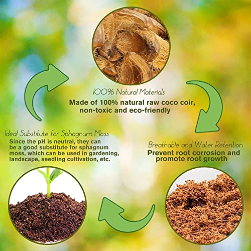 8 Pcs Organic Coco Coir Bricks I7176