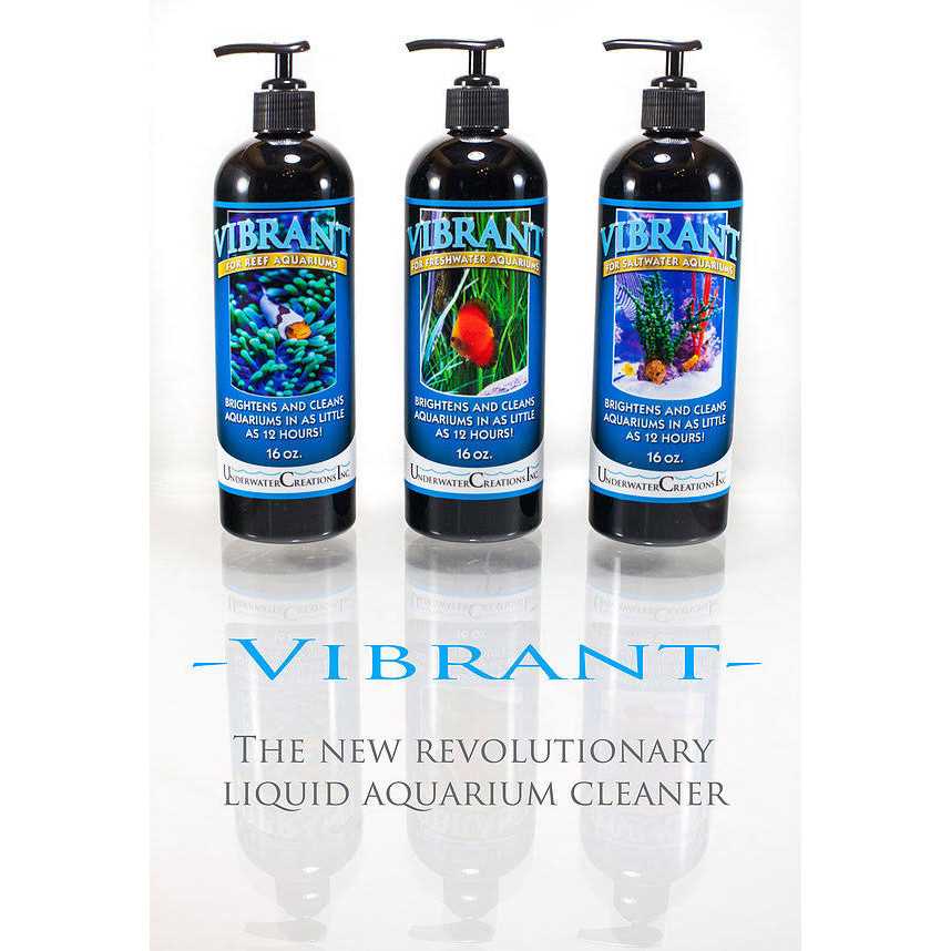 Vibrant For Saltwater Aquariums C548051