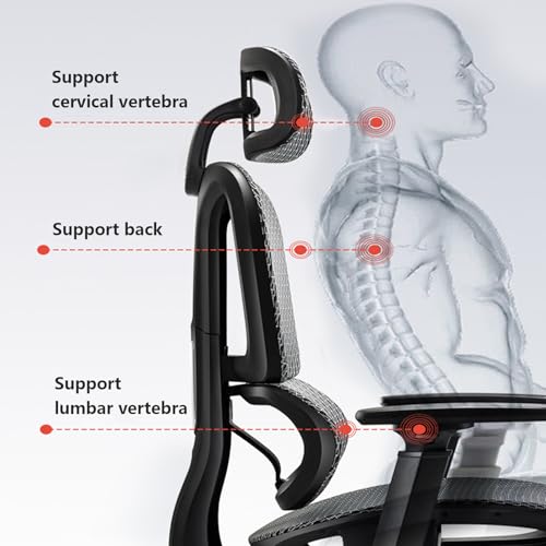 Ergonomic Mesh Swivel High Back Office Chair with Lumbar Support Adjustable Headrest O656794