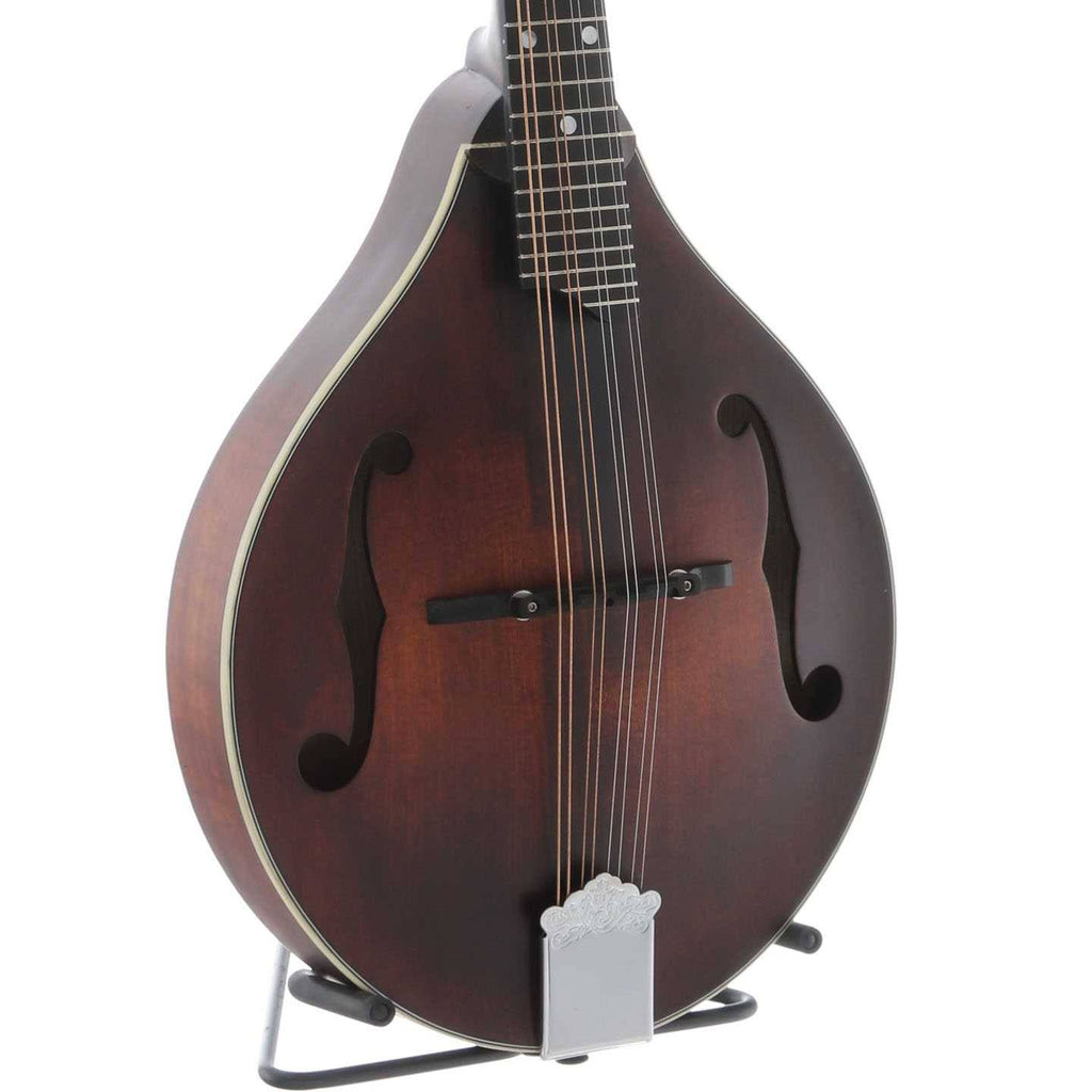 A Style Mandolin I5538