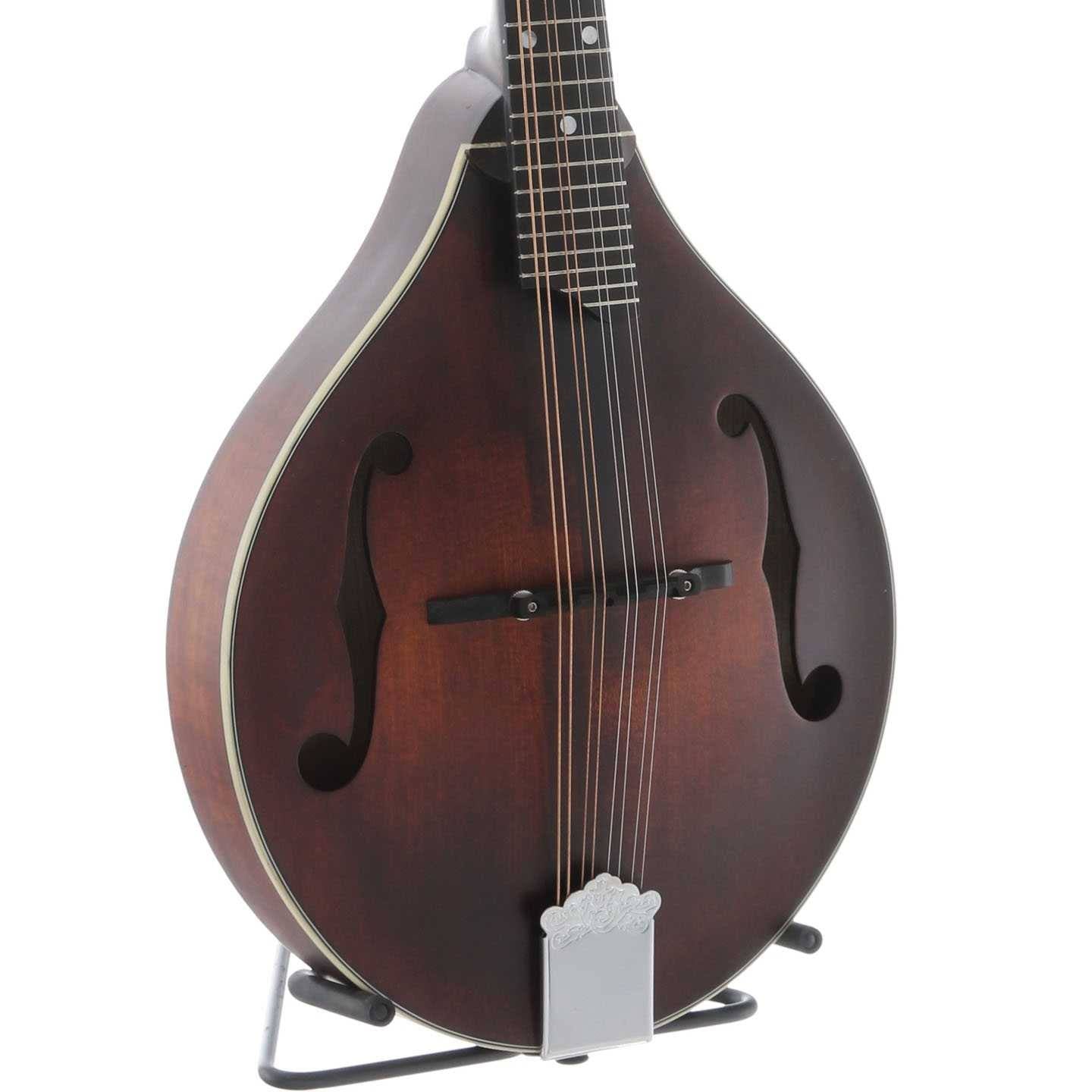 A Style Mandolin I5538
