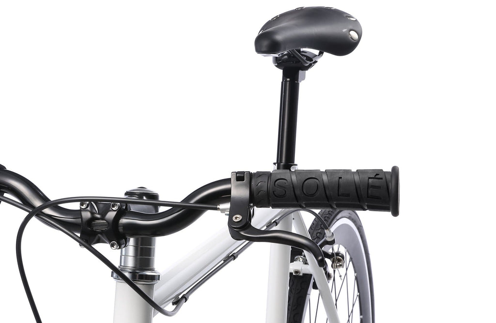 Single Speed Fixed Gear Bicycle D6078