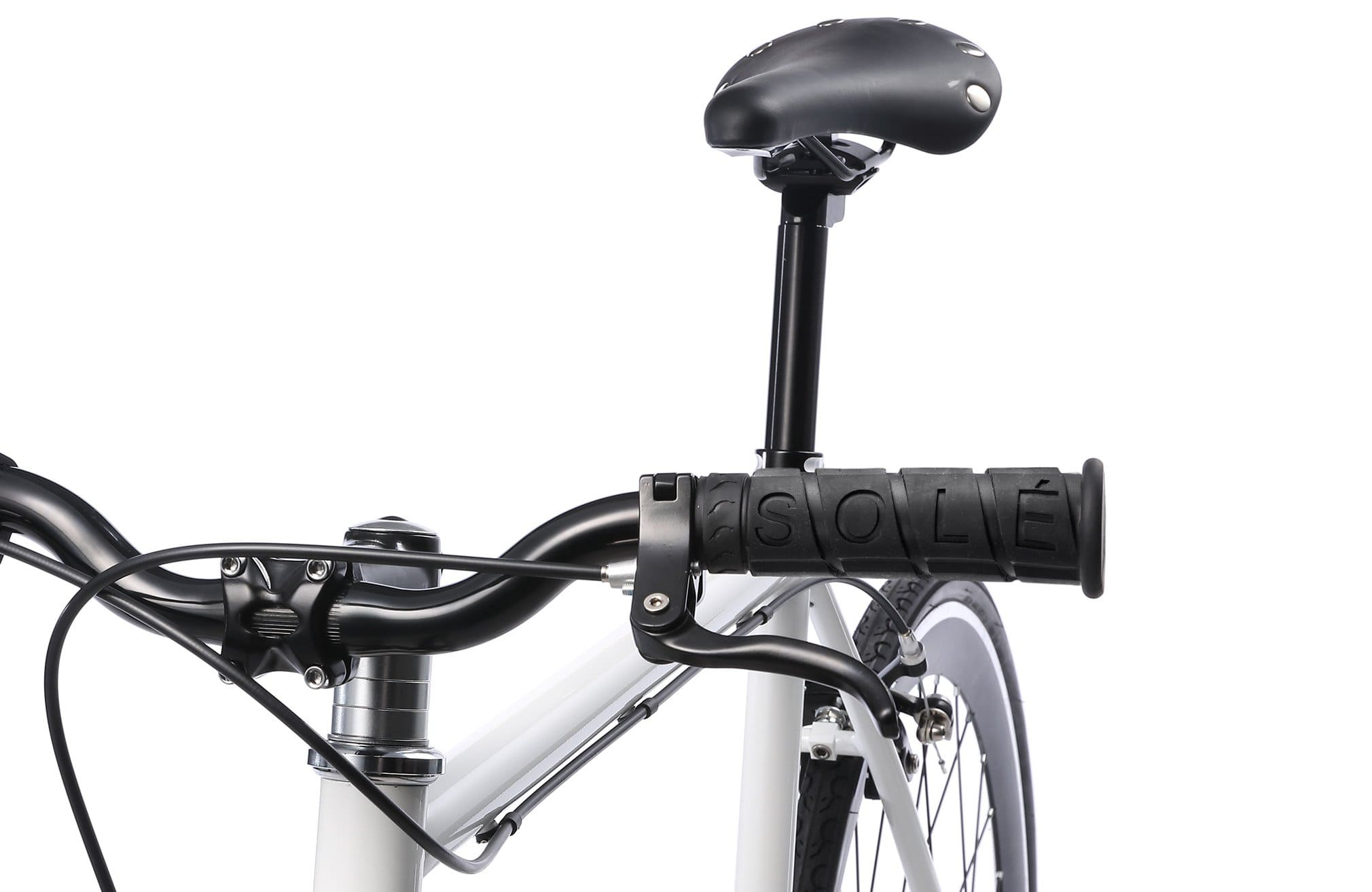 Single Speed Fixed Gear Bicycle D6078