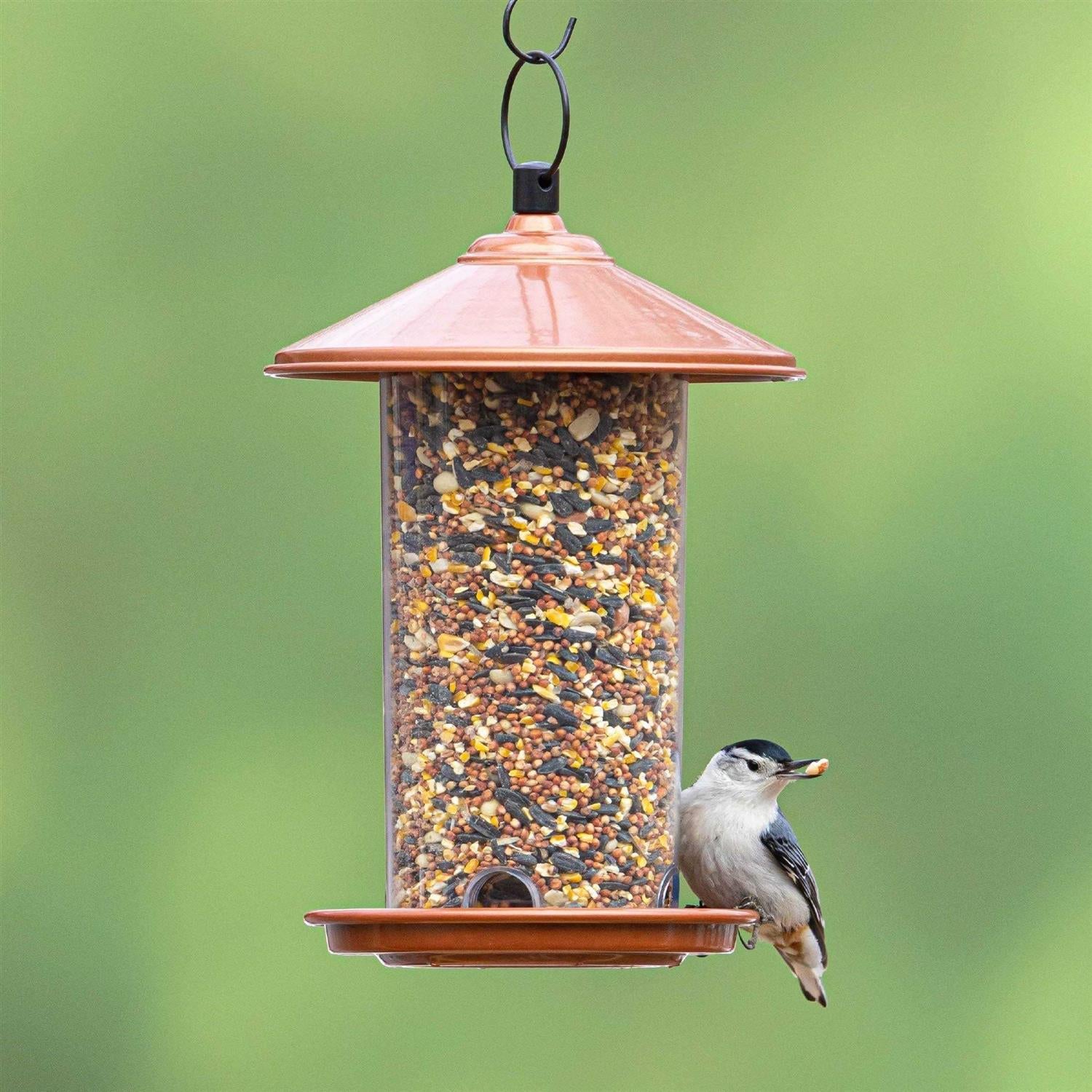 Peanut & Sunflower Wild Bird Feed S22203