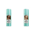 Light Brown and Dark Blonde 2 oz. Gray Concealer Spray Q217