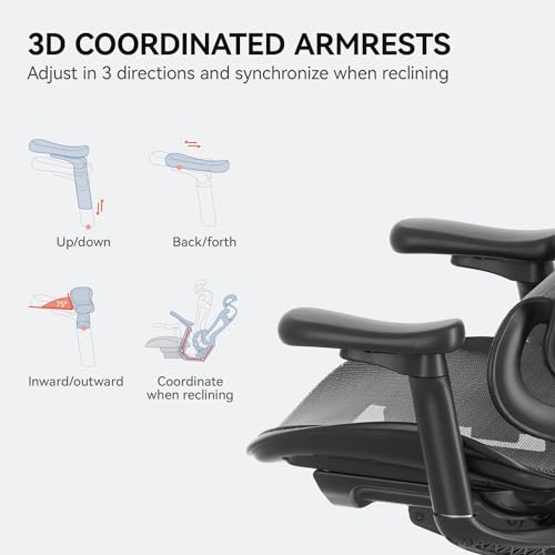 Ergonomic Office Chair with 3D Armrests, Adjustable Backrest, Grey E404218