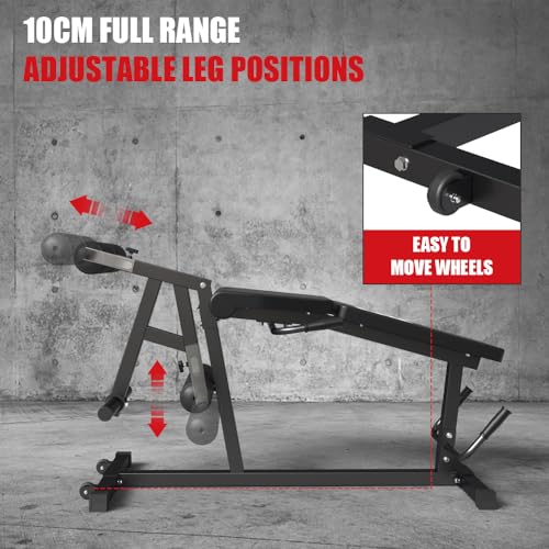 Leg Extension and Leg Curl Machine O1986
