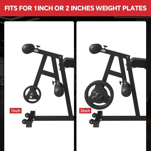Leg Extension and Leg Curl Machine O1986