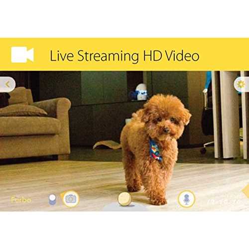 Dog Camera Z41636