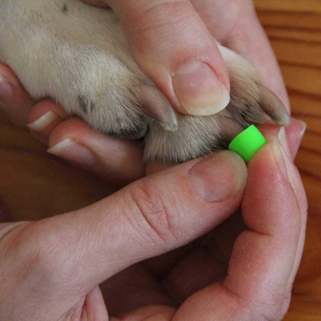 Large Toegrips for Dogs Q2131
