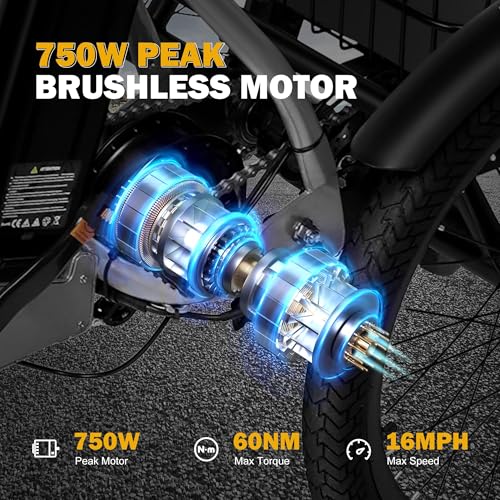 Peak 750W Brushless Motor Folding Trike Ebike with 468Wh Removable Battery Q868669