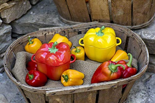 Ceramic Cocotte J701