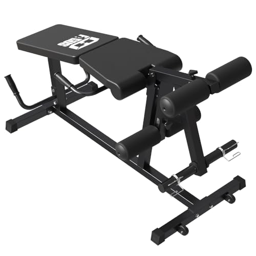 Leg Extension and Leg Curl Machine O1986