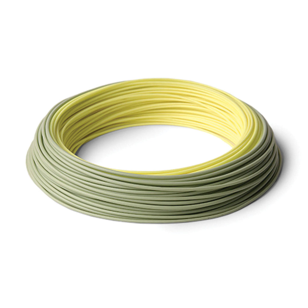 WF6F Fly Line G549