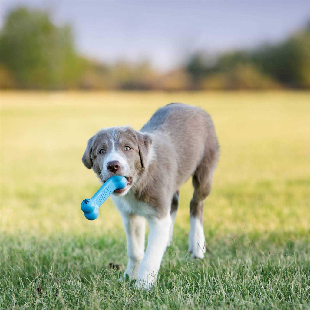 Goodie Bone Puppy Toy S9849