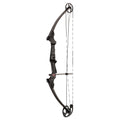 Carbon Bow Kit B885171