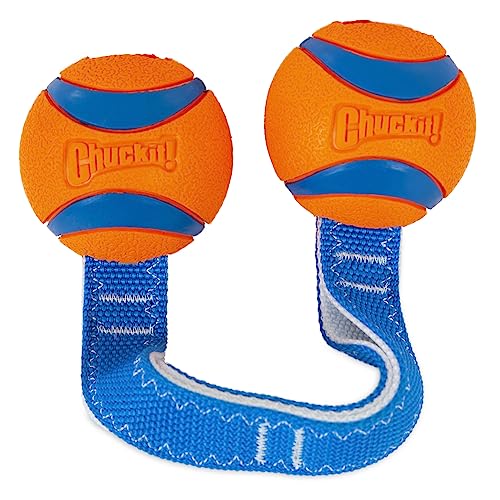 Medium Fetch and Dog Ball Tug Toy S31041