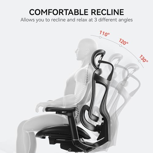 Ergonomic Office Chair with 3D Armrests, Adjustable Backrest, Grey E404218