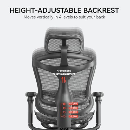 Ergonomic Office Chair with 3D Armrests, Adjustable Backrest, Grey E404218