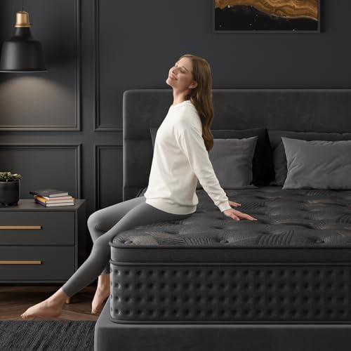 10 Inch Hybrid Queen Mattress with Memory Foam & Pocket Spring O908083