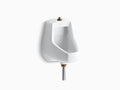 White Wall-Mount Urinal D139