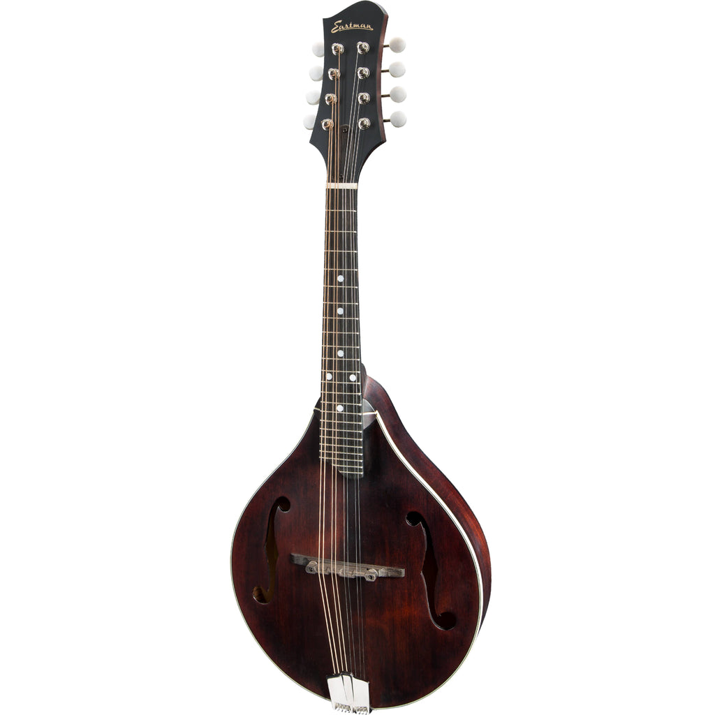 A Style Mandolin I5538