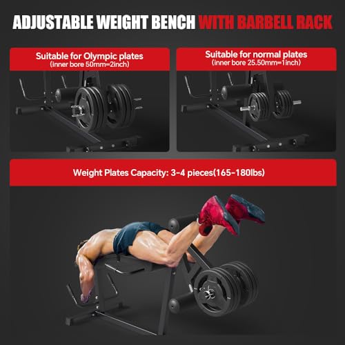Leg Extension and Leg Curl Machine O1986