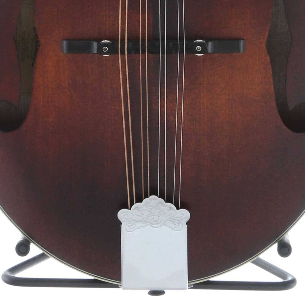 A Style Mandolin I5538